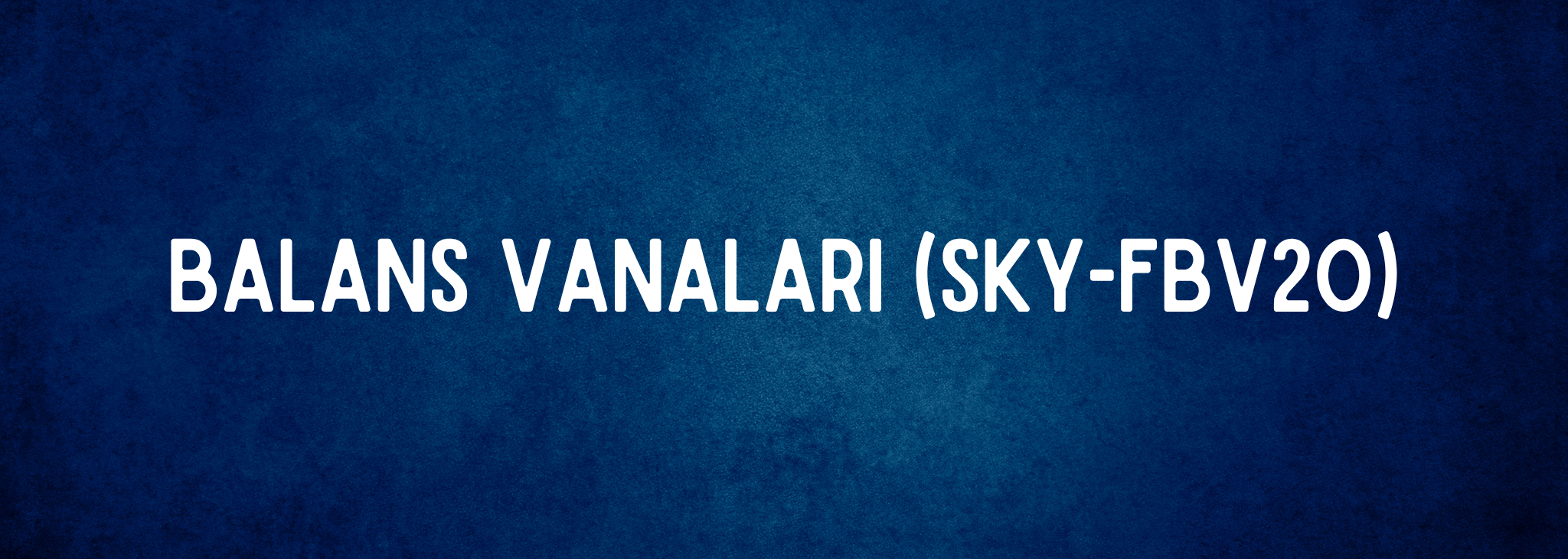 Adsız (2048 x 730 piksel) (3)
